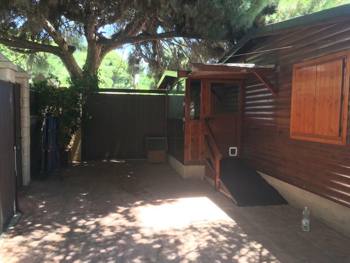 Wood House Close Beach Marbella Exteriér fotografie